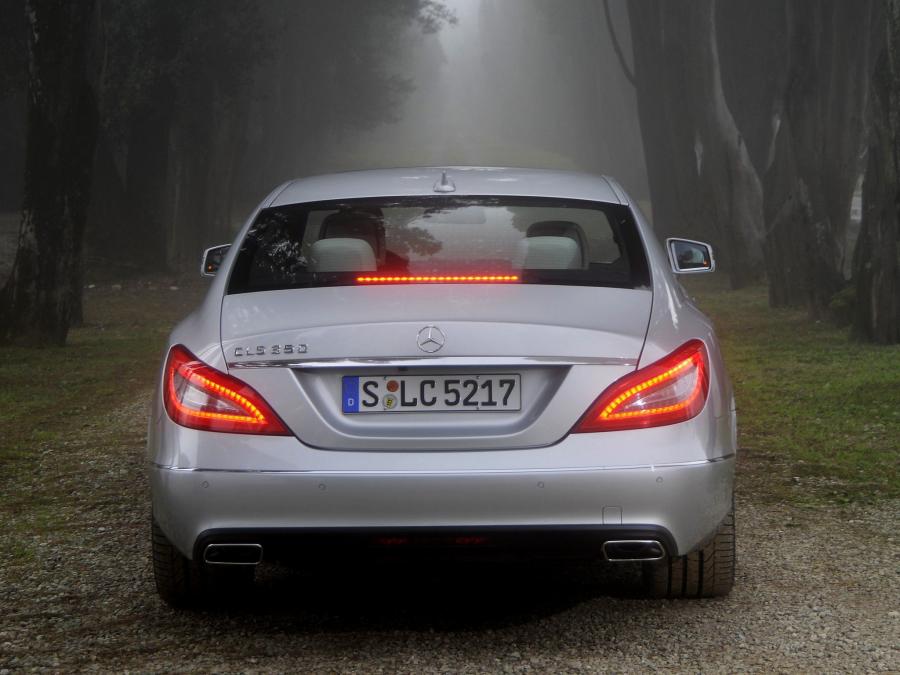  Mercedes-Benz CLS350 2010 года  (фото 14 из 14)